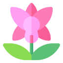 其他花语