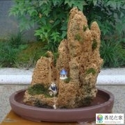 吸水石盆景里能养金鱼吗