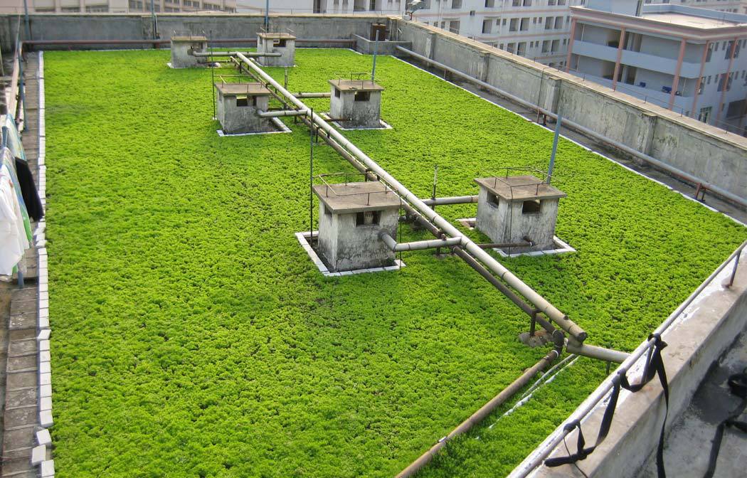 佛甲草屋顶隔热施工图