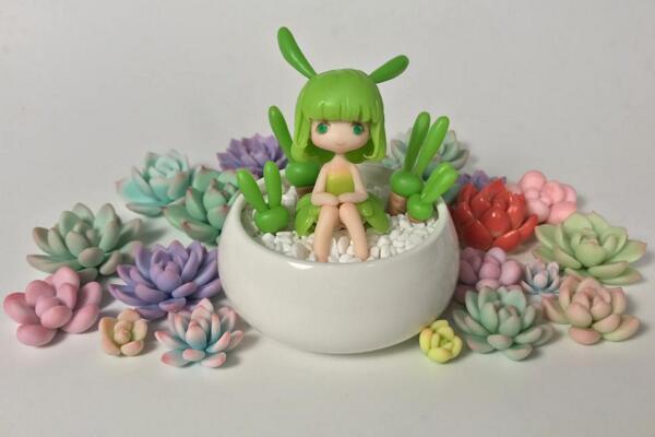 碧光环怎么种植，4步即可完成碧光环的种植