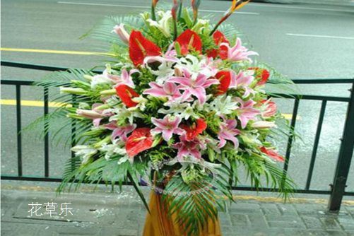 火鹤花是狮子座的守护花，火鹤的花语是什么？适合送什么人呢？