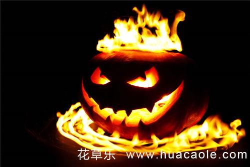 万圣节来袭，你的南瓜灯准备好了吗？