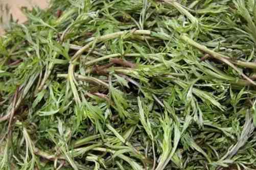 柳蒿芽的作用与功效，东北野菜柳蒿芽其貌不扬作用杠杠