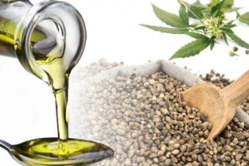 哪些人不能吃紫苏籽油？紫苏籽油的食用方法