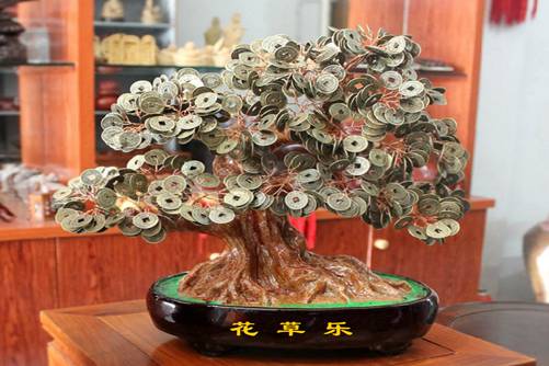 摇钱树怎么养 养好摇钱树人丁兴旺，财源滚滚
