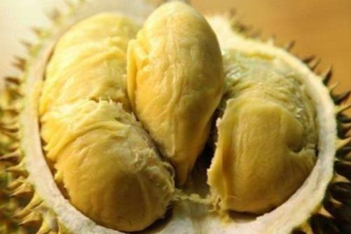 吃榴莲的七大禁忌，榴莲 你吃对了吗