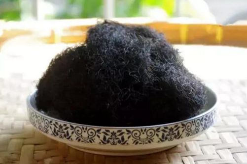 发菜图片，戈壁之珍发菜 此物只应天上有