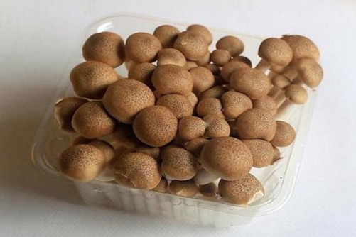 蟹味菇的营养价值，食用蟹味菇的注意事项