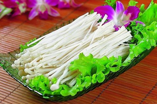 怎么养金针菇的根,金针菇的做法大全
