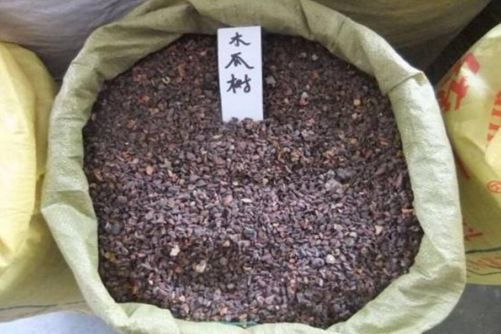 木瓜籽能吃吗？木瓜籽不仅能吃还有这些神奇的好处