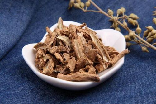 地骨皮的功效与作用 能清热去火，减肥瘦身还能降三高