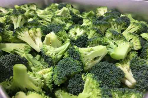 西兰花种植，照着种，西兰花多到吃不完
