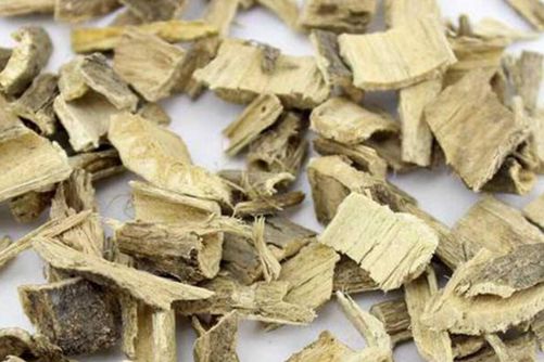 白杨树皮的功效与作用，祛风活血，清热利湿