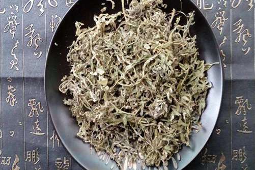 艾叶熏房间有什么好处，艾草益处多但也有禁忌