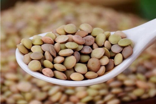 兵豆虽好但这些禁忌你都了解吗？食用兵豆一定要注意这些