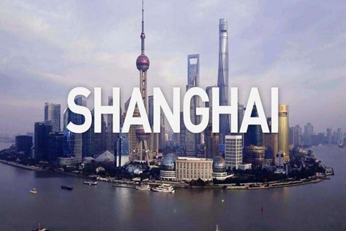 上海市的市花是什么？你知道上海市的市花吗