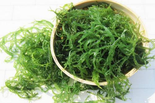 发菜的做法，试试这样做发菜味道很鲜美
