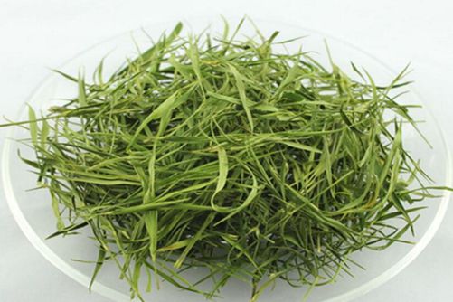 竹叶的功效与作用 能清热除烦，还能生津及利尿