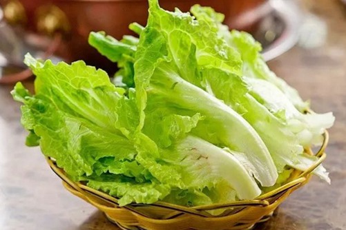  生菜怎么种,生菜的做法大全