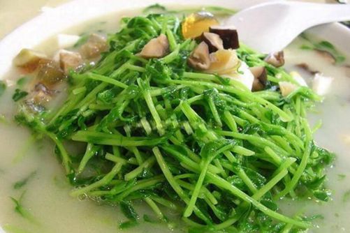 豌豆苗可以生吃吗？豌豆苗的做法原来还有这么多花样