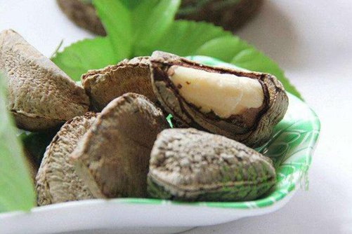 鲍鱼果有什么禁忌，这三大食用禁忌和功效你都知道吗    