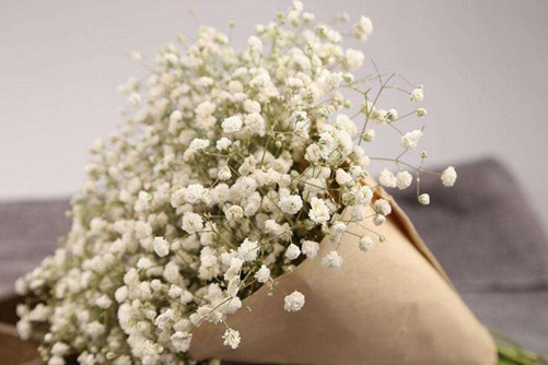 送老师什么花好 这些花适合而且寓意又好