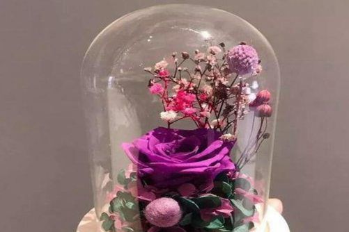 永生花图片，鲜花易谢 恒爱难传