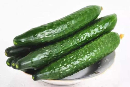 阳台黄瓜的种植方法，阳台种植黄瓜将菜园搬回家