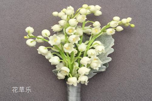 铃兰花为什么被称为“圣母之泪”，表达着什么样的花语和文化含义