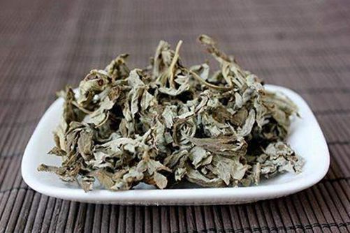 艾叶熏房间有什么好处，艾草益处多但也有禁忌