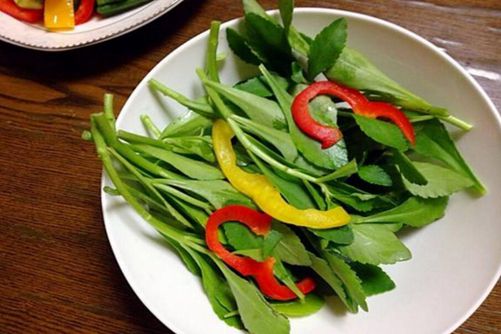 养心菜你认识吗？养心菜一定是你吃了，还想吃的蔬菜