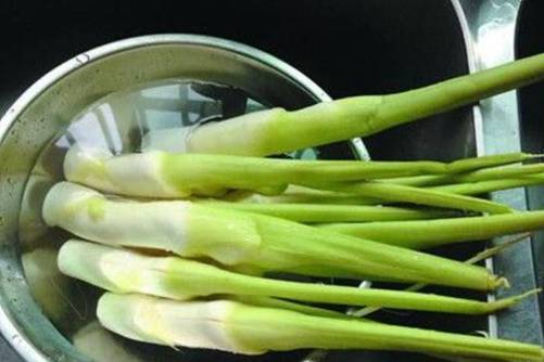 茭白是什么？水八仙之一茭白的前生今世
