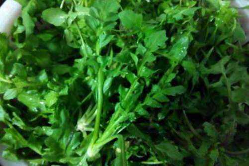 地菜的图片，春日平原荠菜花，新耕雨后落群鸦