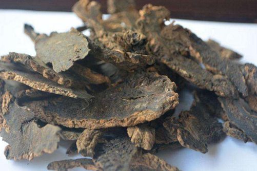 盐碱地适合种什么药材 试试下面这4种药材能帮您开发盐碱地