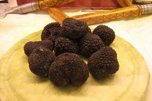 松露的功效与作用，又丑又难闻的松露怎么吃才美味