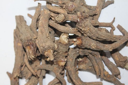 中药前胡种子怎么种植,前胡的功效与作用