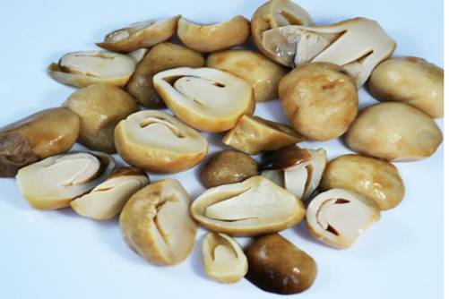 草菇的价格是多少？2019草菇价格预测