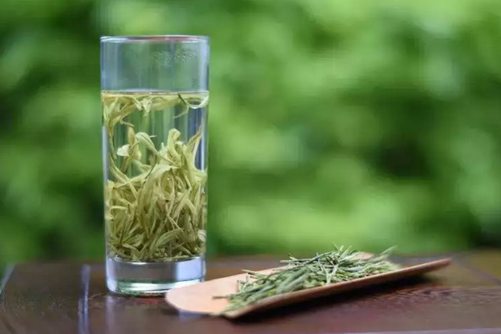 古丈毛尖多少钱一斤？古丈毛尖 好茶留给懂茶的人