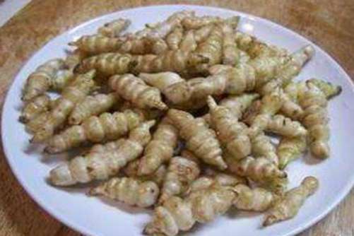 螺丝菜的做法是什么？螺丝菜最健康吃法介绍