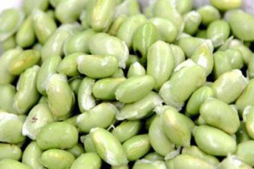 黄豆和毛豆是一种东西吗？黄豆和毛豆的区别是什么