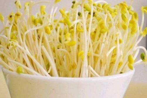 怎样发黄豆芽？家庭自发黄豆芽的诀窍