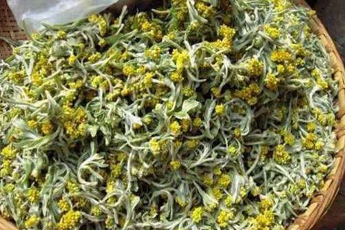 清明菜的营养价值，清明菜怎么做才好吃