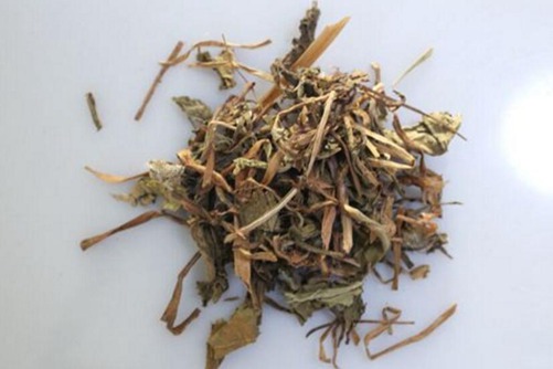 仙鹤草的功效与作用，仙鹤草怎样食用才能消炎镇痛和止血