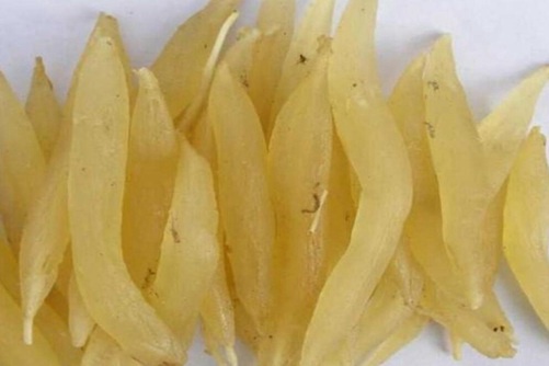 新鲜的天冬怎么吃，秋冬滋补的中药，这样吃最有营养