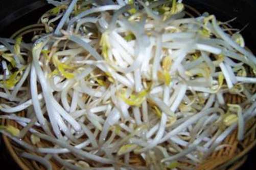 绿豆芽的做法，自己做绿豆芽健康好吃还放心