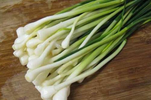 小蒜的图片，野蒜根含水 沙葱叶负霜