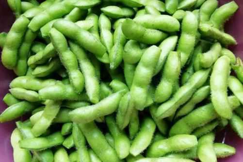 毛豆图片，豆白宜烹玉糁糜 绝胜云子雪翻匙