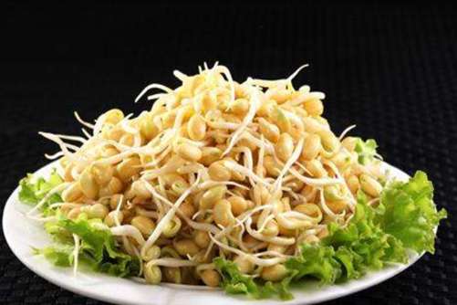 怎样发黄豆芽？家庭自发黄豆芽的诀窍