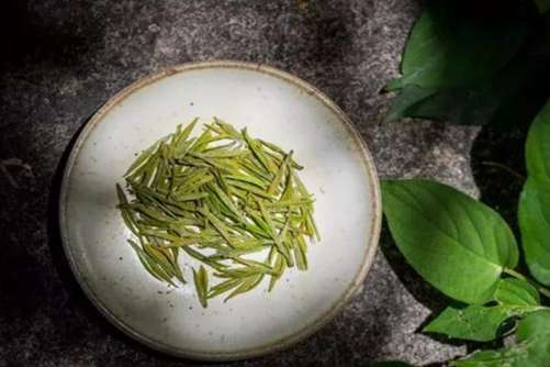 茶叶鉴别方法，学会以下几点你就是茶叶鉴别高手啦