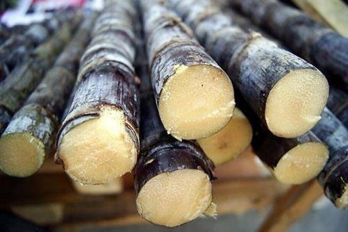 甘蔗营养价值及食用功效，切记发黄发酸的甘蔗千万不能吃
